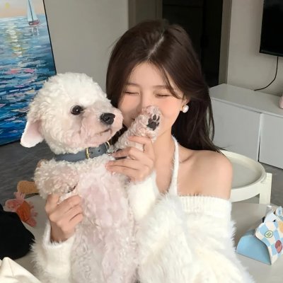 半妖的夜叉姬第二季
