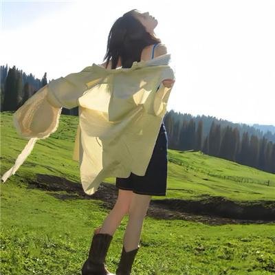 至上之法